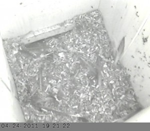 04-24-2011_19h_21_22.73