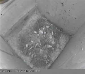 01-20-2012_16h_29_35.60