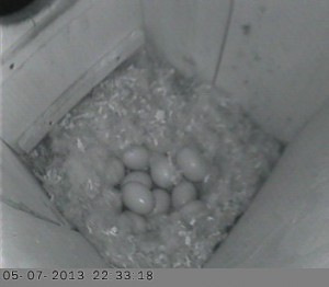 2013-05-07_22h_33_18.44