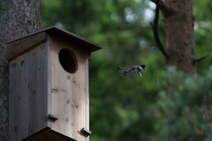 2013-06-09-0004