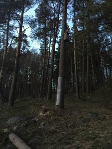 IMG_6015